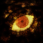 滲みだす監査官